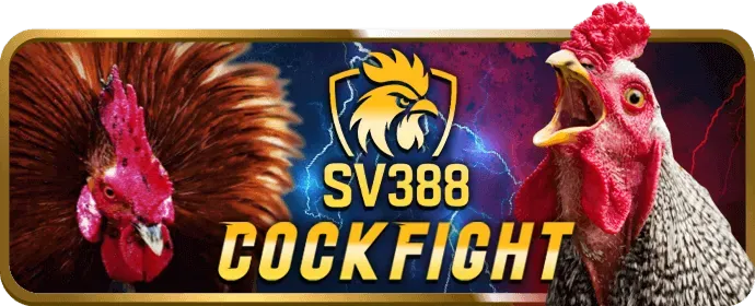 Hỗ trợ kỹ thuật và giao dịch nhanh chóng tại 18win1 nhà cái